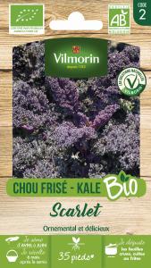 Chou Frisé Kale Scarlet - BIO
